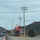 장수통닭 | [전남/해남]원조장수통닭 후기/해남 8미 닭코스요리