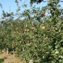 선재농장 이미지