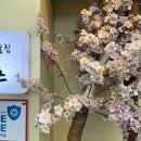 따뜻한술집하츠 이미지