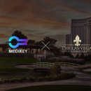 메디체인 이미지