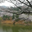 울산컨트리클럽 이미지