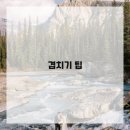 수채화(기초) 이미지