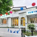 오묘 고양이카페호텔미용 이미지