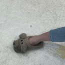 손톱꽃물들다