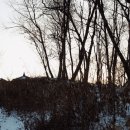 현촌근린공원 이미지