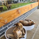 선화여관 이미지