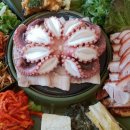 내고향족발 | 6시내고향 진천 족발 맛집(K맛있을지도)