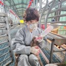 남원흑염소농장 2농장 이미지