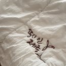 솔레올레 이미지