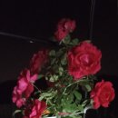 몽실하우스 이미지