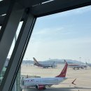 613 | 이스타항공 체크인 터미널 수하물 좌석 지정 후기 인천-오사카 ZE 613