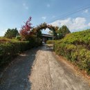 언니네집 이미지