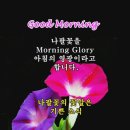 여유로움 Daum카페