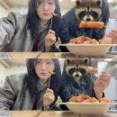 향우본가(식육식당) | 받아들이는 거예요 그냥, 들이받을 수는 없으니까