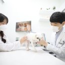 위더스동물의료센터 이미지