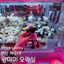 왕미미 오락실 이미지