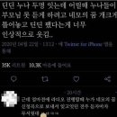 네모의꿈 이미지