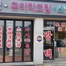 매니아그린카케어