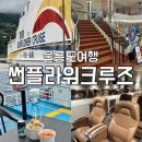 지에스(GS)25 울진후포대성점 | [울릉도여행] 울릉썬플라워크루즈 우등석 탑승 후기 : 차량 선적, 식당, 매점, 편의점, 코인노래방, 포토존