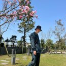 박앤김내과의원 네이버블로그