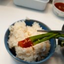 참다운농장 이미지