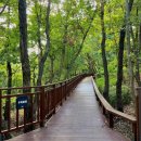 무장애숲 이미지