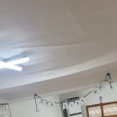 라인농원 이미지
