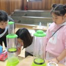 부여초등학교 이미지