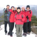 여우와늑대 이미지