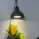 [제품 리뷰] 식물 키우기에 적합한 식물조명 &#39;라미팜 파미 LED 식물등&#39;