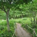 해바라기화원 - 태안군 군청2길 2 | 해바라기화원