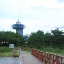 송지호 자전거대여소 이미지