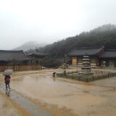 무위사 주차장 이미지