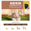 애니멀 쉐프 이미지