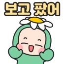 데이지멜트
