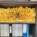 리드건축사사무소 이미지