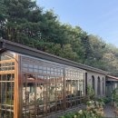 민경애견 | 여행 카페 추천] 현상소: 다비치 강민경님 추천한 분위기 좋은 주택개조조카페, 애견동반 가능, 주차정보