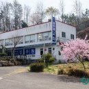 진등재 주유소 이미지