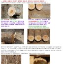 박성민한의원 | 폐암말기 관해후 완치 까지 후기