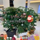 순천에스병원 이미지