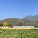 김행종의집 이미지