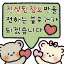 머쉬앤 이미지
