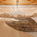 URBAN TREE 39 이미지