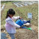 쌍용농장 이미지