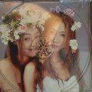사장님 도박은 재미로 하셔야 합니다 - 비비 (BIBI) 이미지