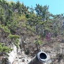 대항새바지동굴앞 이미지