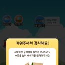 기영농장 이미지