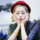 빵빵한 이미지