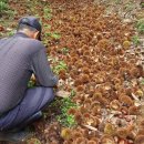 장창수농장 이미지