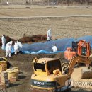 김정남농장 이미지